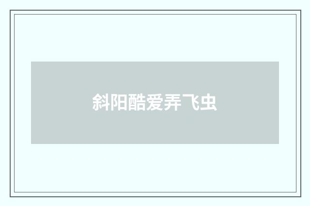 斜阳酷爱弄飞虫