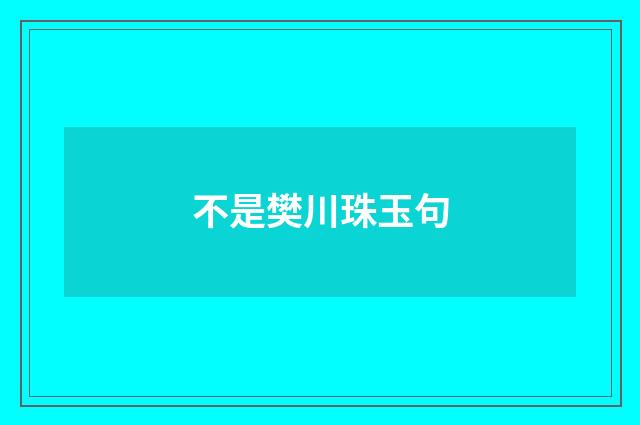 不是樊川珠玉句