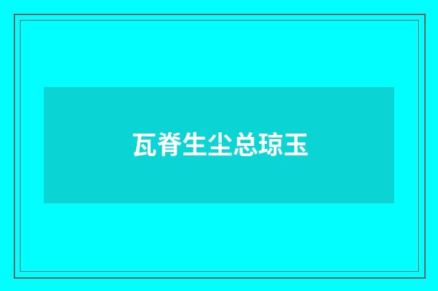 瓦脊生尘总琼玉