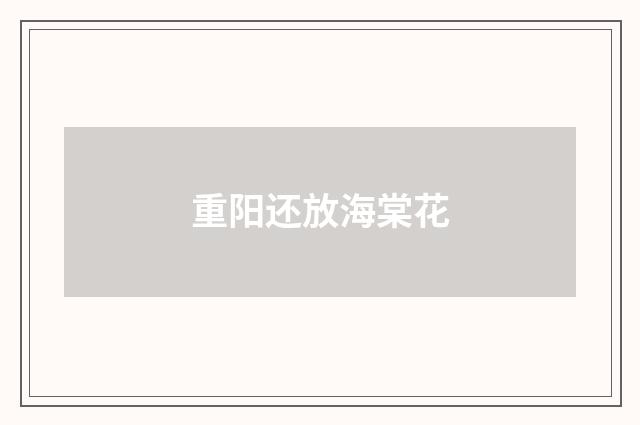 重阳还放海棠花