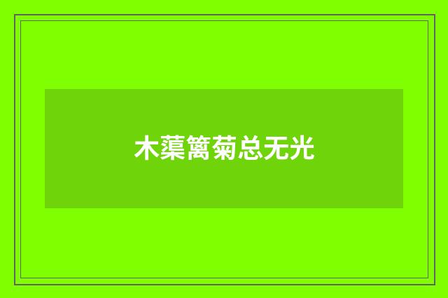 木蕖篱菊总无光