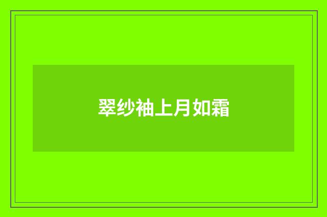 翠纱袖上月如霜