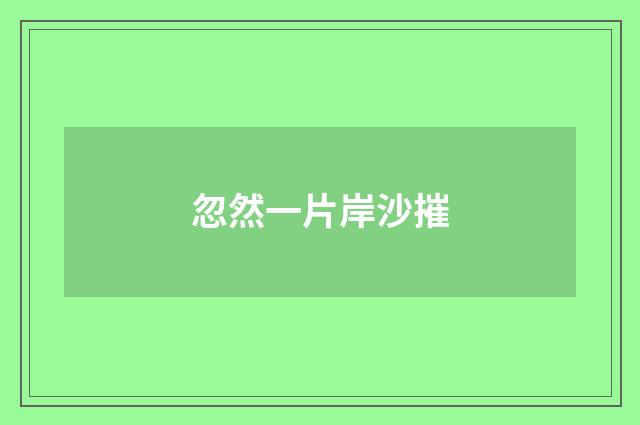 忽然一片岸沙摧