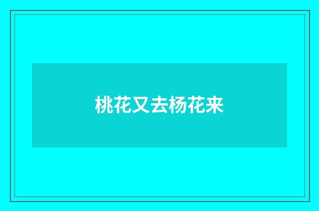 桃花又去杨花来