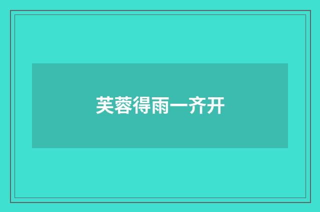 芙蓉得雨一齐开