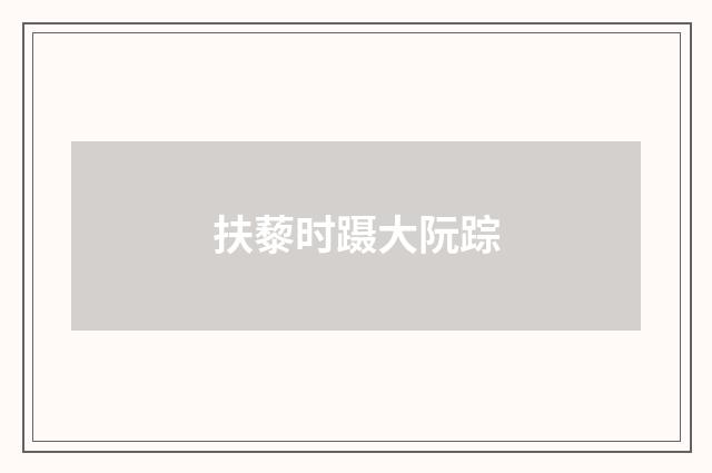 扶藜时蹑大阮踪