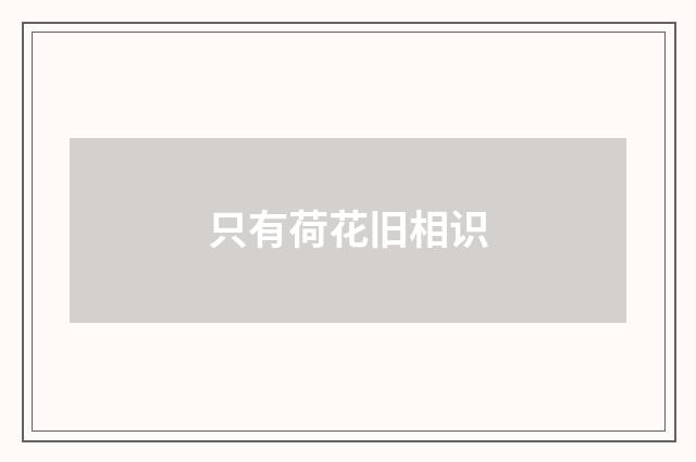 只有荷花旧相识