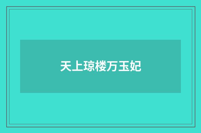 天上琼楼万玉妃