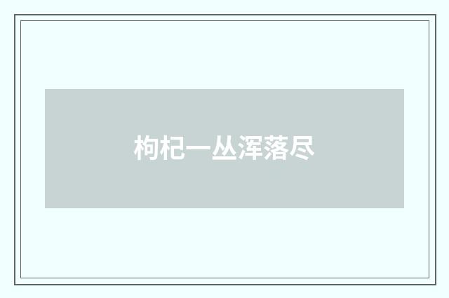 枸杞一丛浑落尽