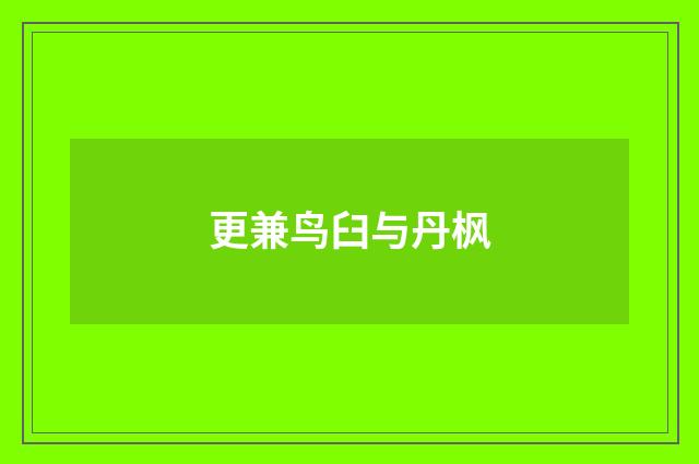 更兼鸟臼与丹枫