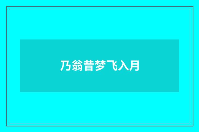 乃翁昔梦飞入月