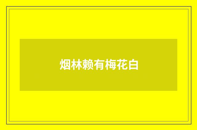 烟林赖有梅花白