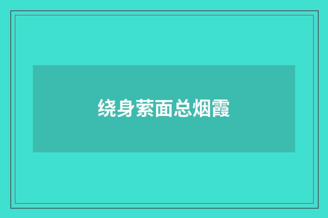 绕身萦面总烟霞