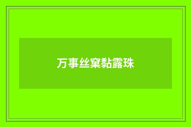 万事丝窠黏露珠