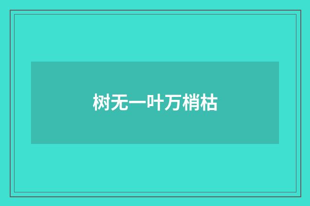 树无一叶万梢枯