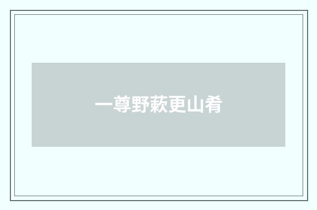 一尊野蔌更山肴