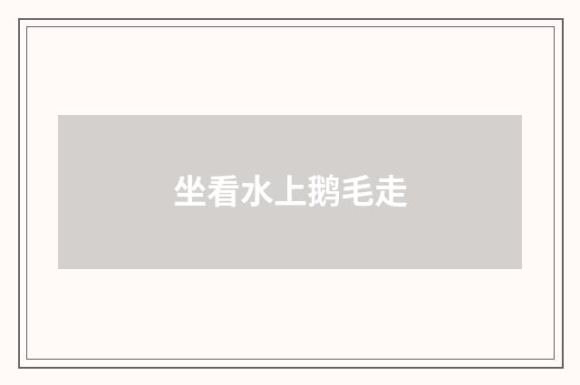 坐看水上鹅毛走