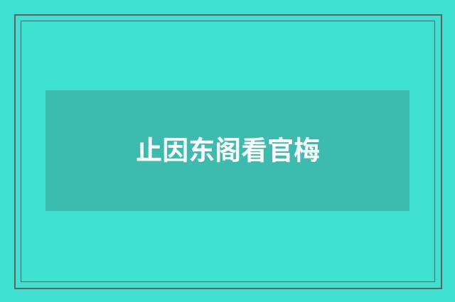 止因东阁看官梅