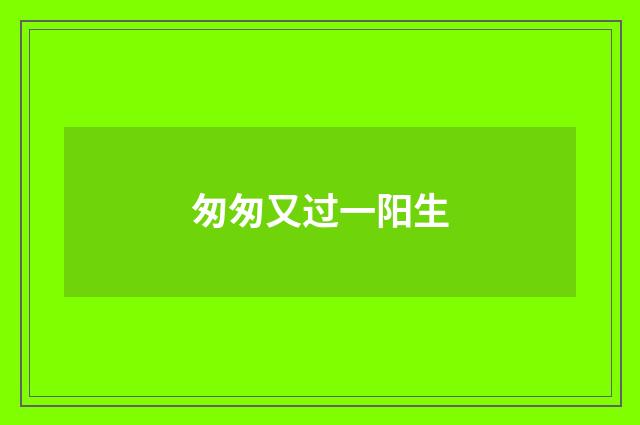匆匆又过一阳生
