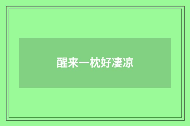 醒来一枕好凄凉