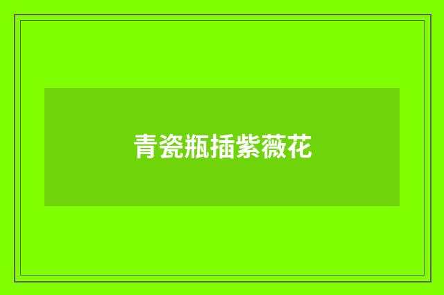 青瓷瓶插紫薇花