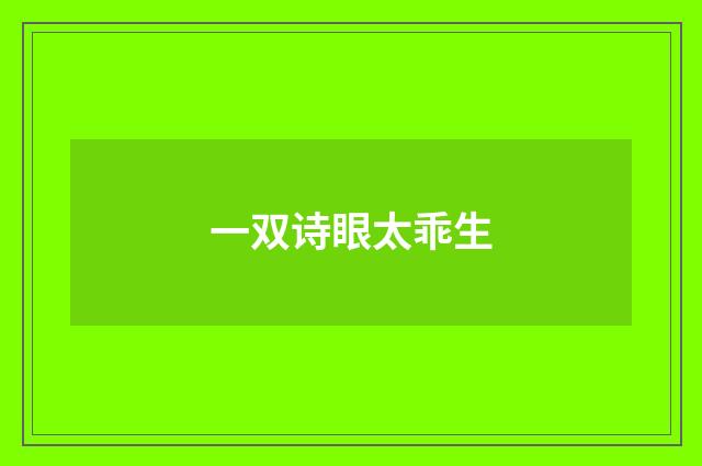 一双诗眼太乖生