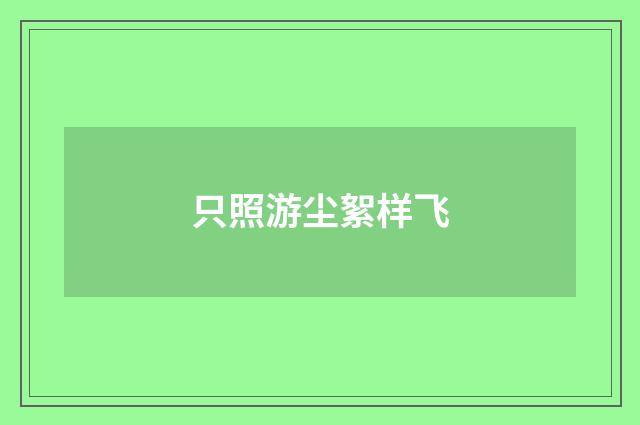 只照游尘絮样飞