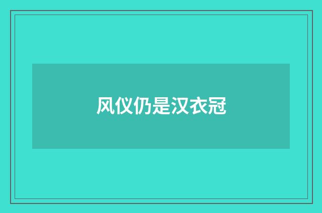 风仪仍是汉衣冠