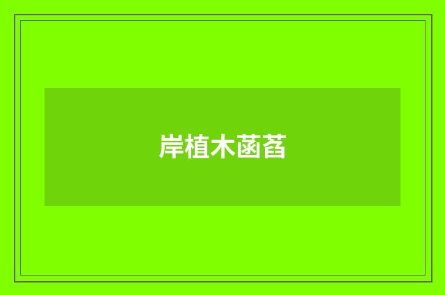 岸植木菡萏
