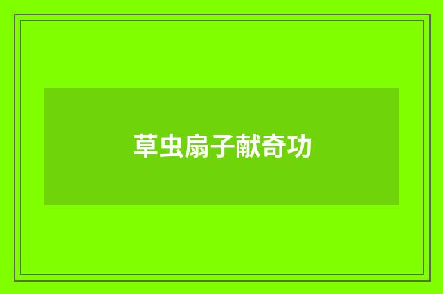 草虫扇子献奇功