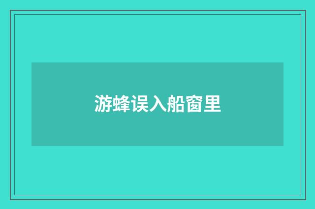 游蜂误入船窗里