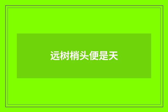 远树梢头便是天