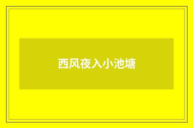 西风夜入小池塘
