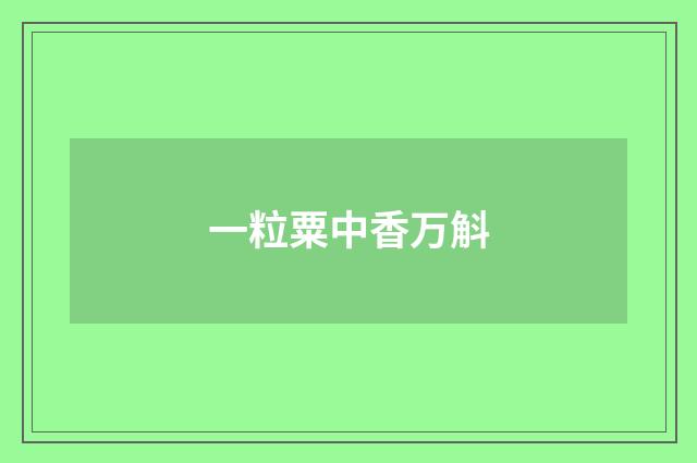 一粒粟中香万斛