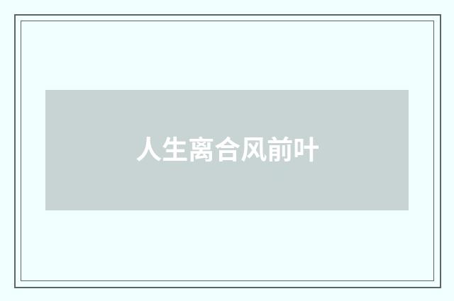 人生离合风前叶