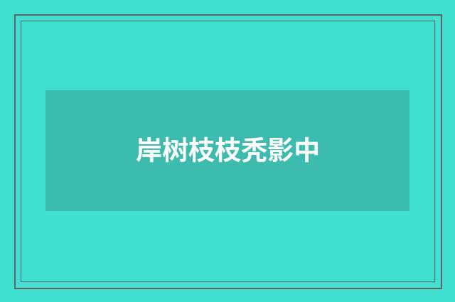 岸树枝枝秃影中