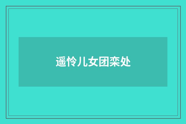 遥怜儿女团栾处