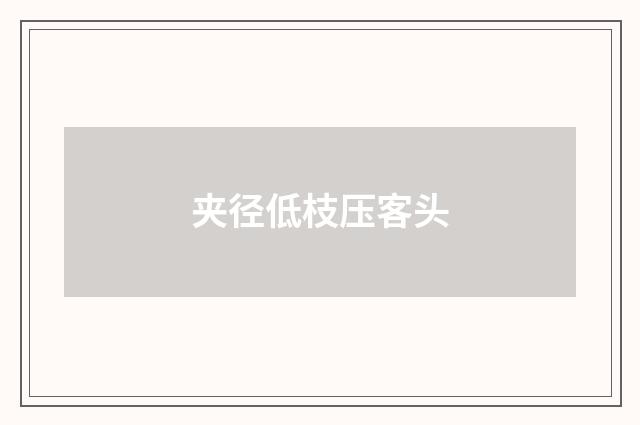 夹径低枝压客头