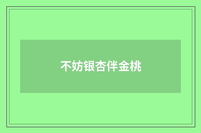 不妨银杏伴金桃