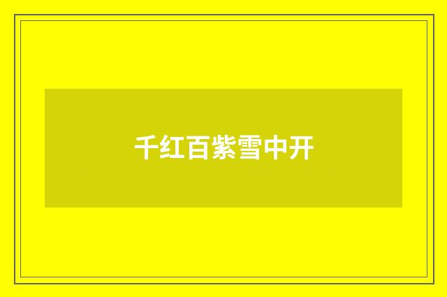 千红百紫雪中开