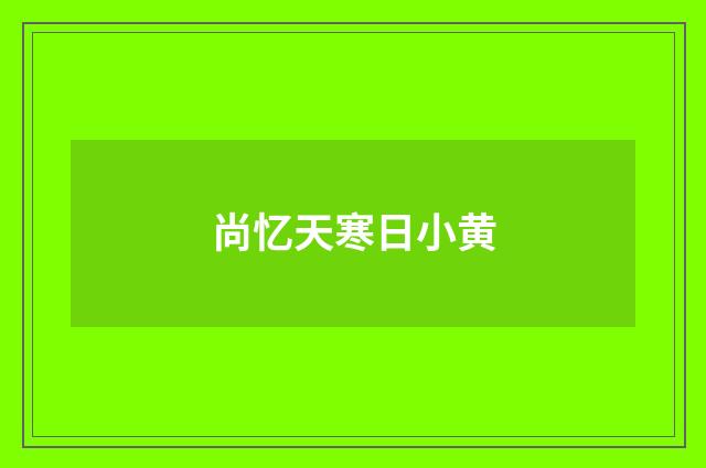 尚忆天寒日小黄
