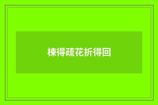 楝得疏花折得回