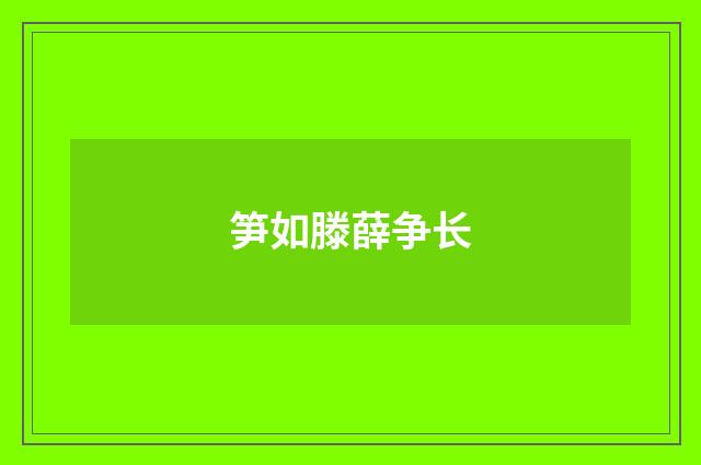 笋如滕薛争长