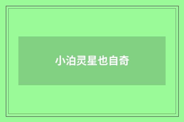 小泊灵星也自奇