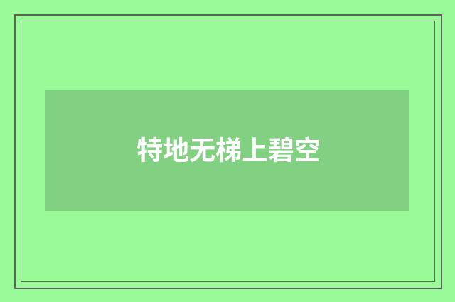特地无梯上碧空