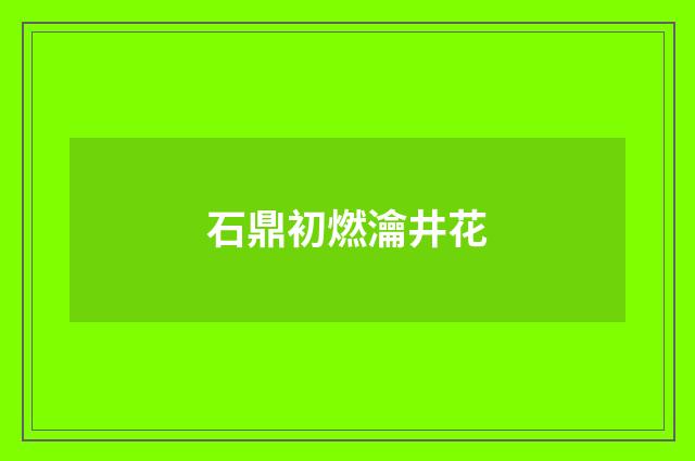 石鼎初燃瀹井花