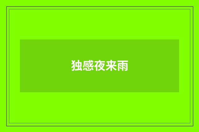 独感夜来雨