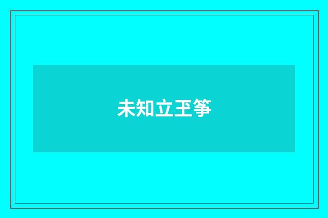 未知立玊筝