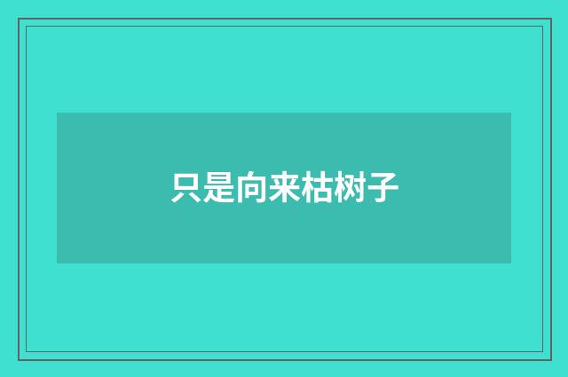 只是向来枯树子