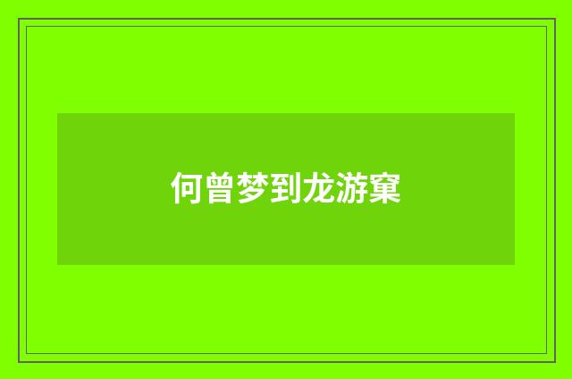 何曾梦到龙游窠